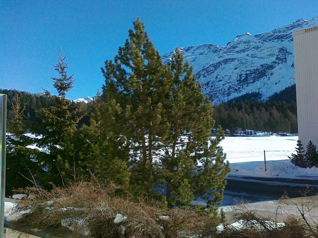 Studio Champfer St. Moritz Kültér fotó