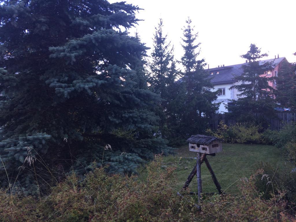 Studio Champfer St. Moritz Kültér fotó